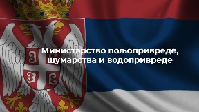 Alkoholna pića bezbedna
